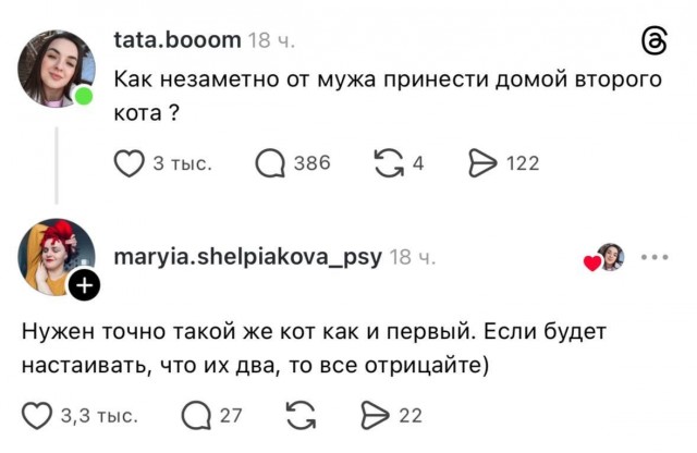 Пособие "Как мужа в дурку отправить"