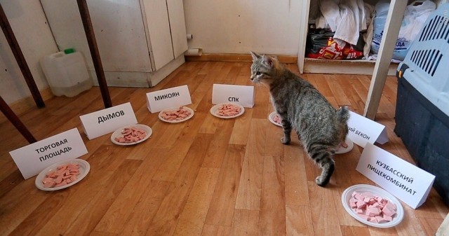 Есть ли в сосисках и колбасе мясо