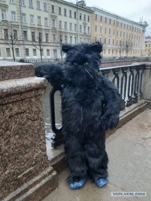Мужчины виноваты лишь в том, что отменили патриархат!