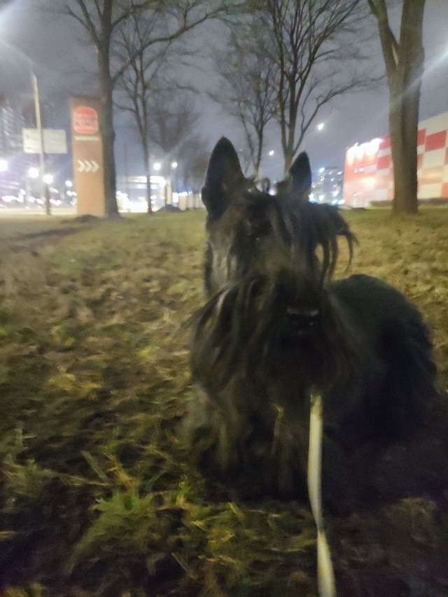 Хороший сосед по даче