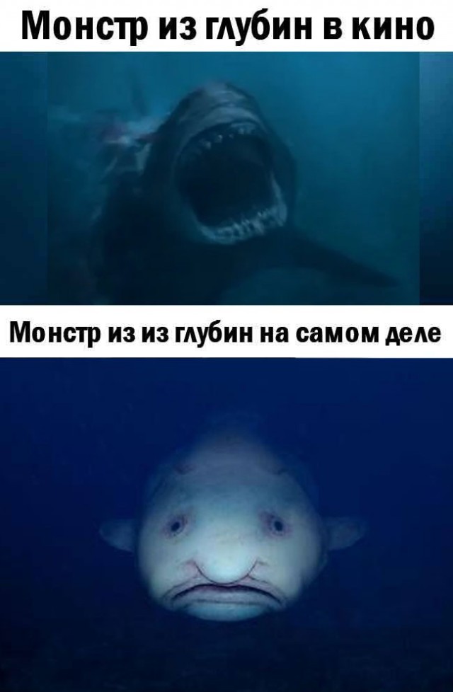 Фильмовый юмор в картинках