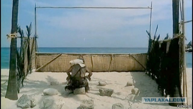 Бросаю всё и иду подсобником к малярам