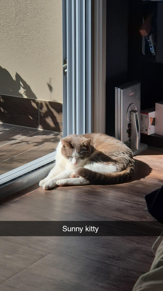 98 лет (котовторник)