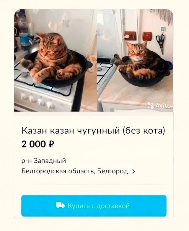 Картинки для деградации 294 (разной степени свежести)