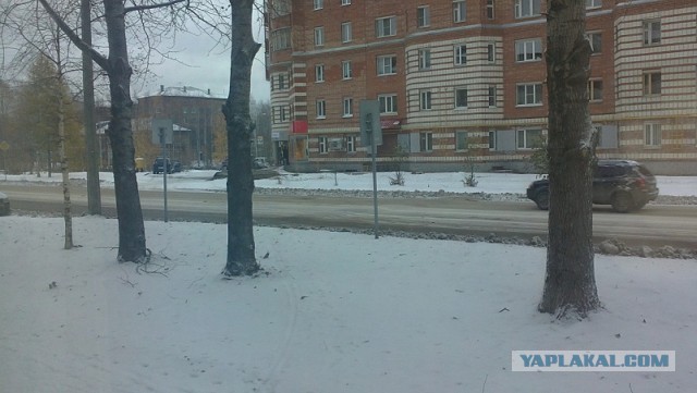 А у нас во всю уже на санках катаются