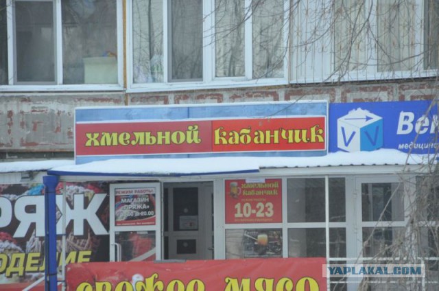 Синонимы слова "пиво" от тюменских креативщиков