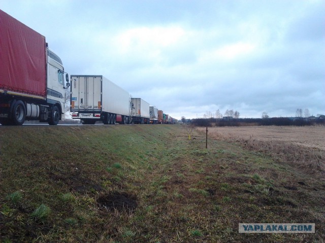 Где яблоки растут!