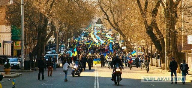 И снова сербы, в поддержку России.