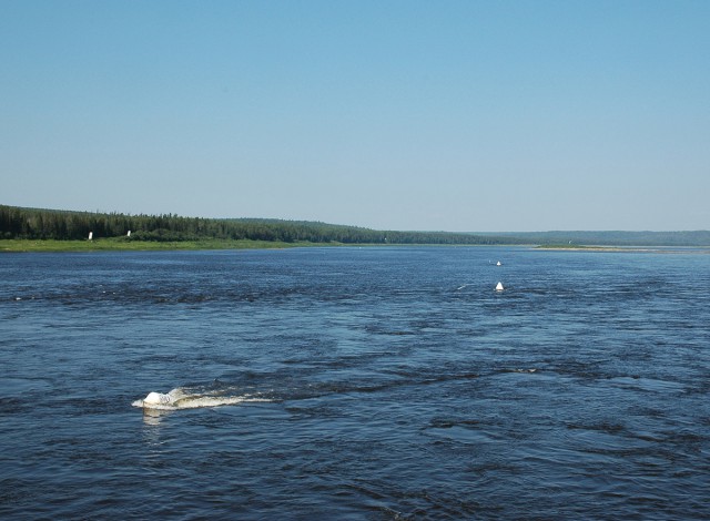 Деревенская Америка
