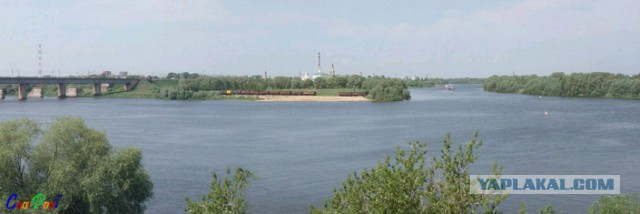 Тамбовский волк тебе товарищ...