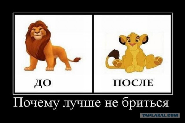 Подарок к 8 Марта - без бороды.