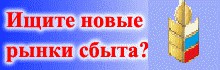 ЯПовцы! Нужна полезная критика и помощь