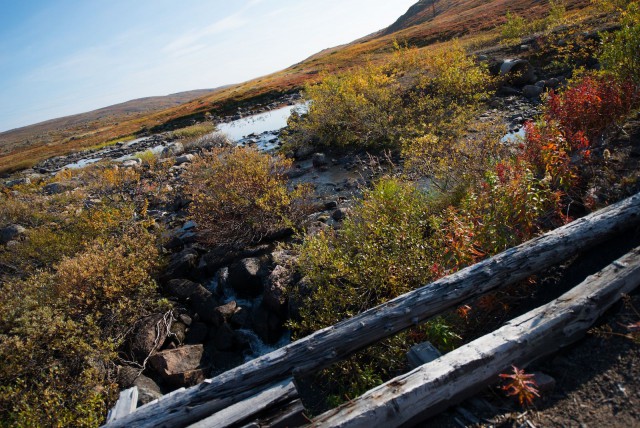 Поездка на Кольский полуостров.