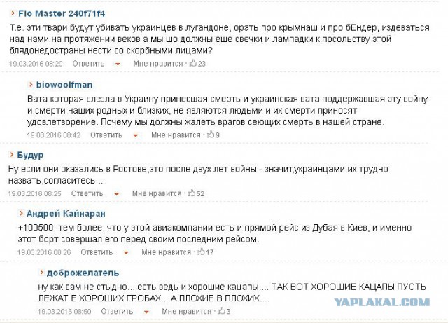 В Ростове-на-Дону разбился Boeing 737-800, все находившиеся на борту погибли