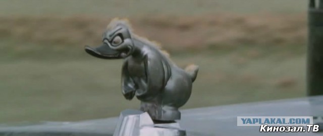 Подборка интересных и веселых картинок