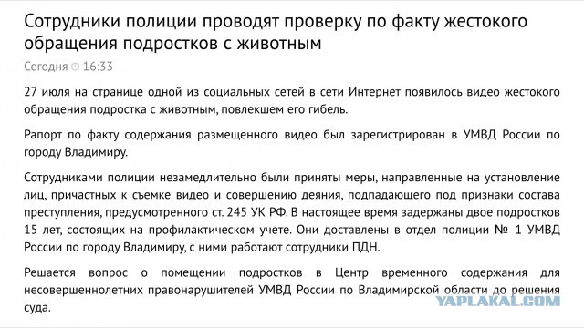 Во Владимире подростки сняли на видео жестокое убийство котёнка