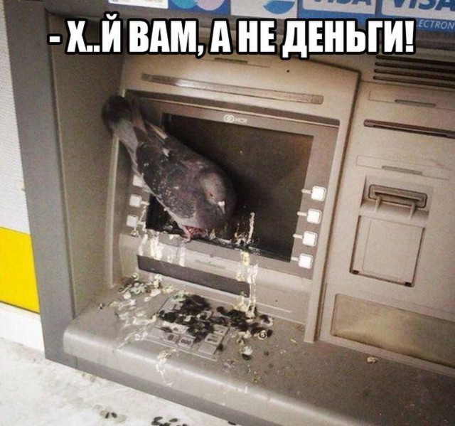 Весёлые картинки