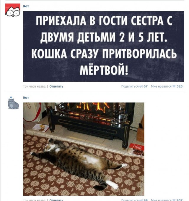 Подборка интересных и веселых картинок