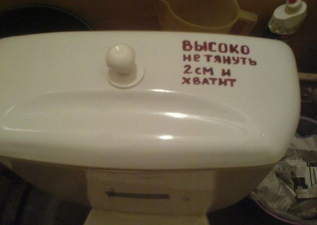 Подборка безудержного веселья