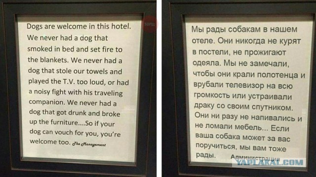 Тёмный юмор к этим выходным