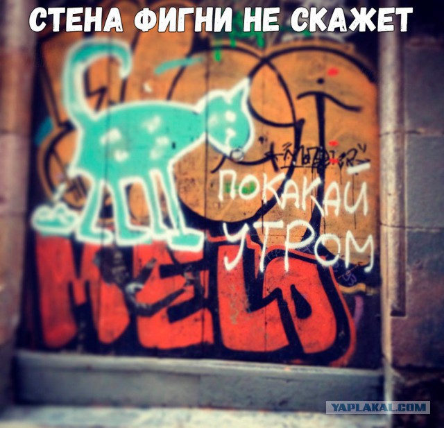 Забавных картинок не хотите ли?