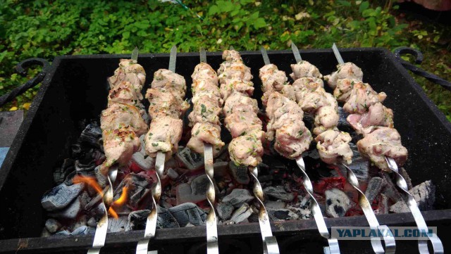 Осенний шашлычок