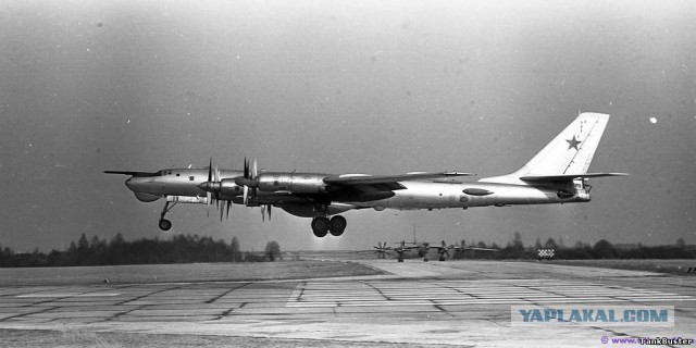 65 лет "Русскому Медведю"