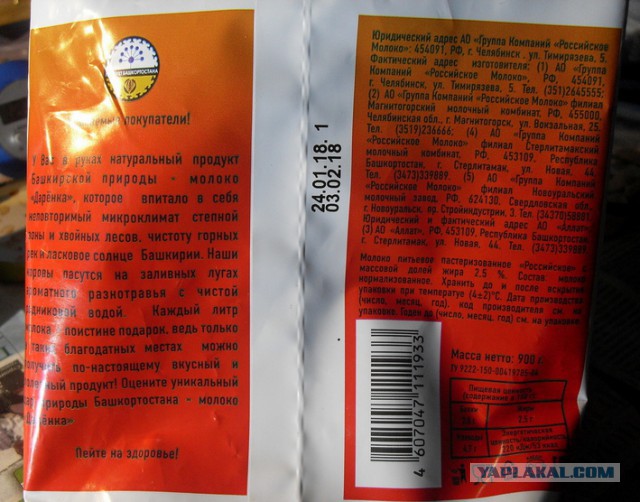 Как я работал на молокозаводе и что из этого вышло.