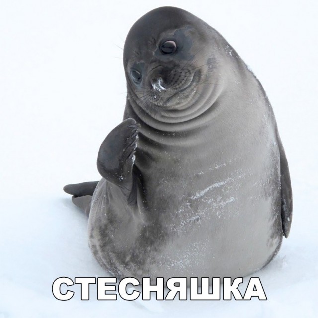 Нестандартный юмор