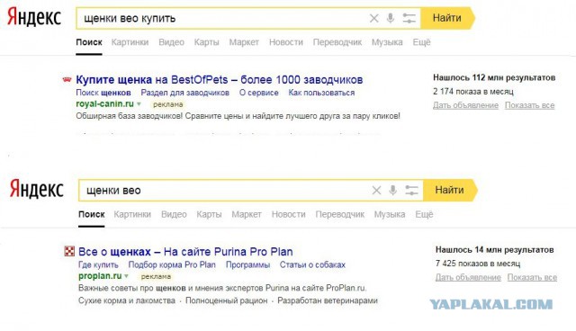 Мое собачье детство.