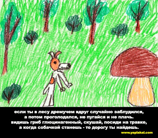 Вредные советы (7 шедевров)