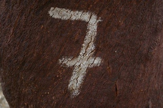 Из чего и как делают пробку