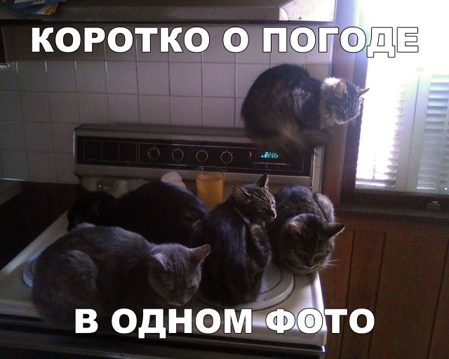 Нестандартный юмор