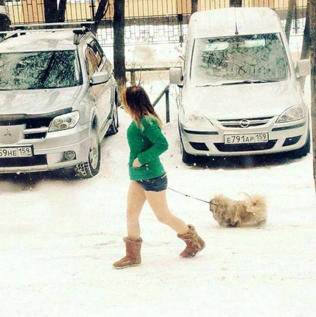 И всё-таки она наша. Лента картинок