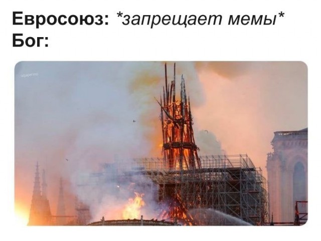 В свете последних событий
