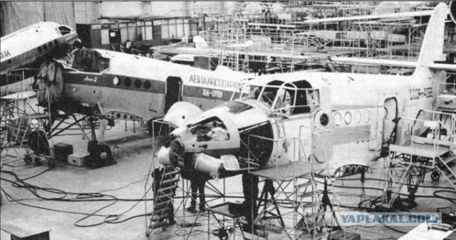 Россия закупит в Китае партию лицензионных копий советского Ан-2