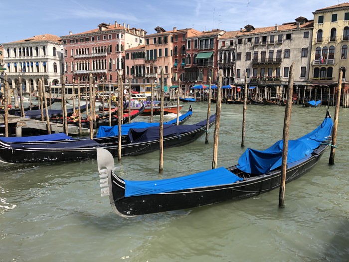 В Венеции пересохли каналы