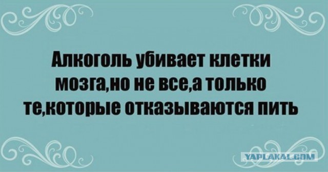 Алкоты пост!