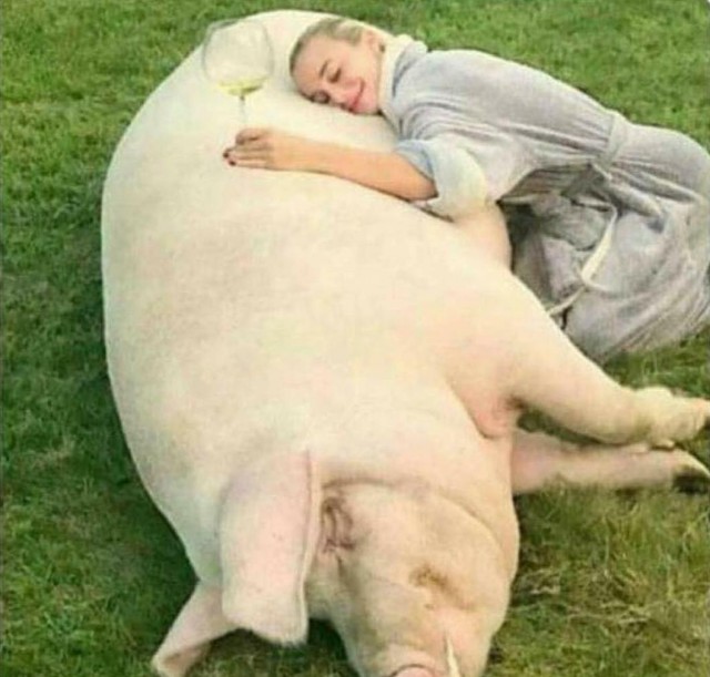 Инстаграм счастливого человека