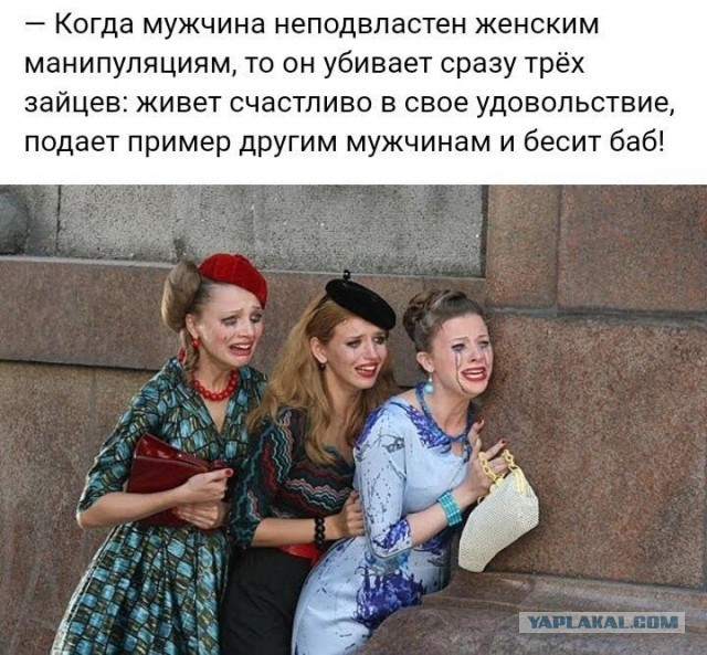 Упрекнул женщин на сайте знакомств в том, что они мало зарабатывают. Показываю ответы