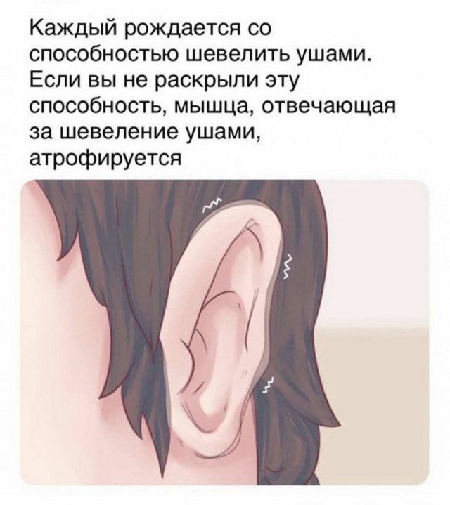 От светло серого до чёрного 3.0