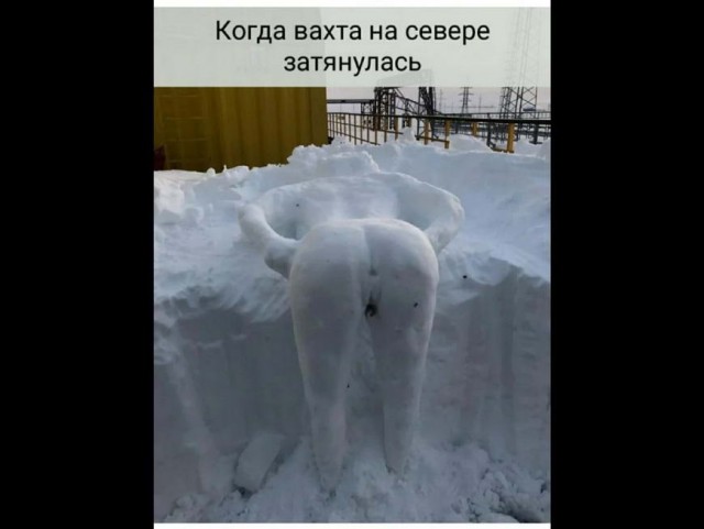 Картинки и мемы для настроения 30.01.21