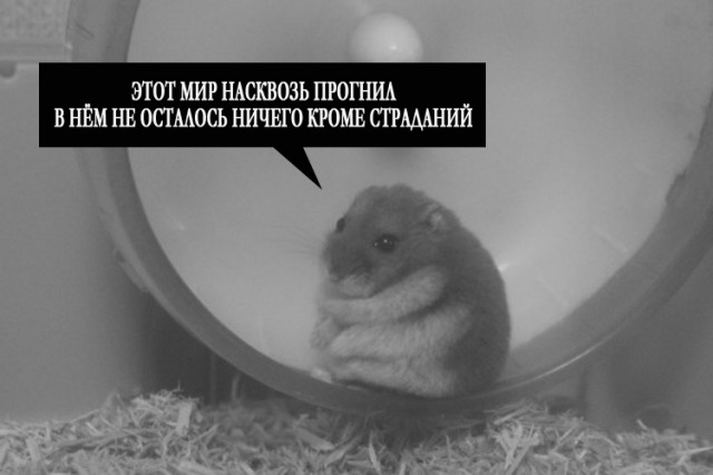 Картинки и мемы для настроения 003