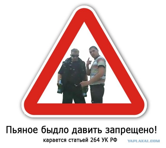 Упоротый дебил