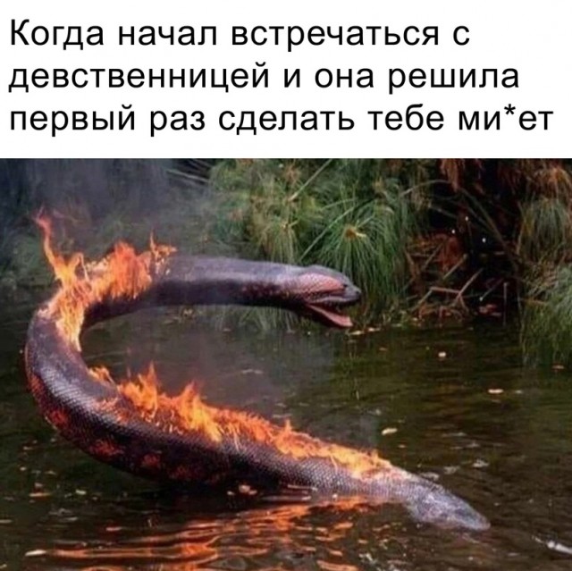Картинки и мемы для настроения 15.06.2021