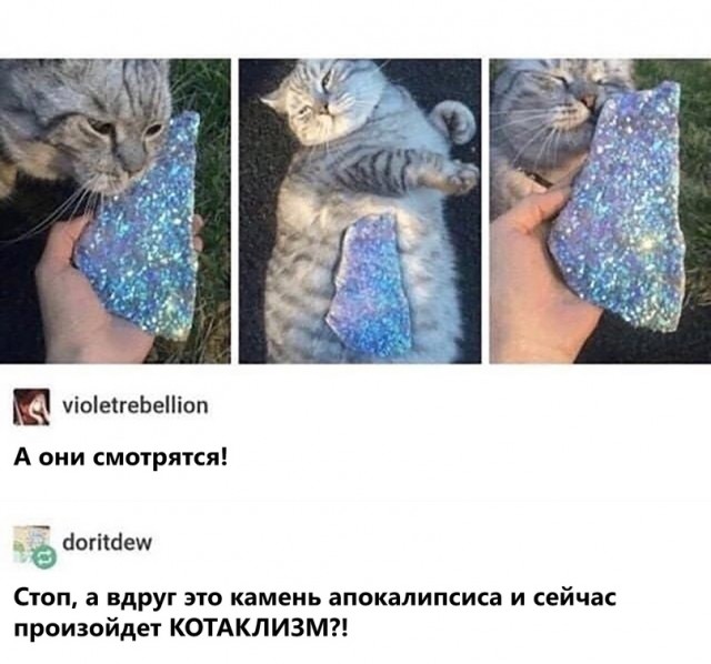 Картинки и мемы для настроения 22.06.2021
