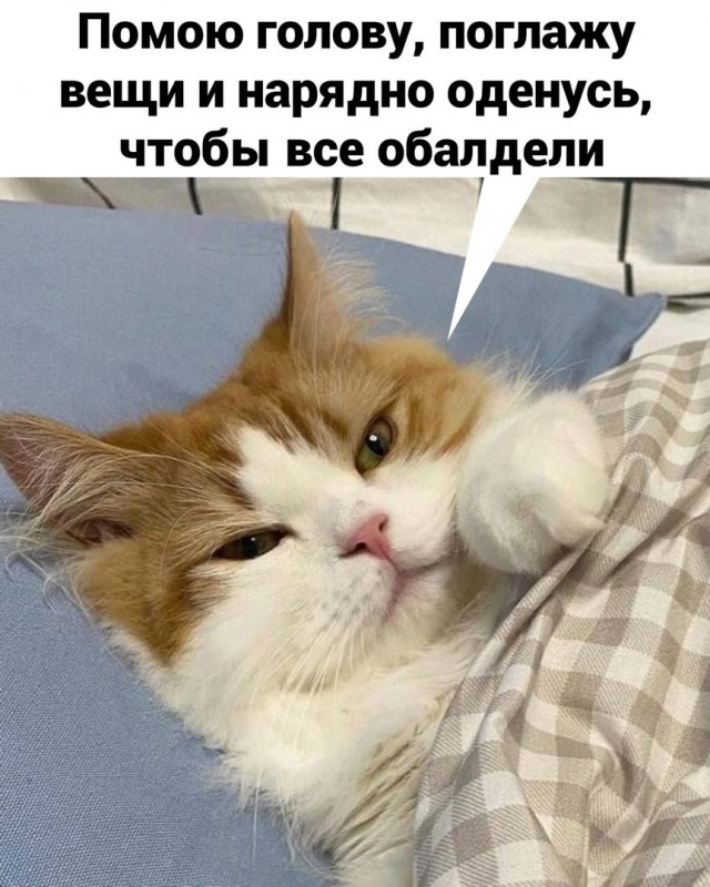 Кретинизмы из сети 17.07.21
