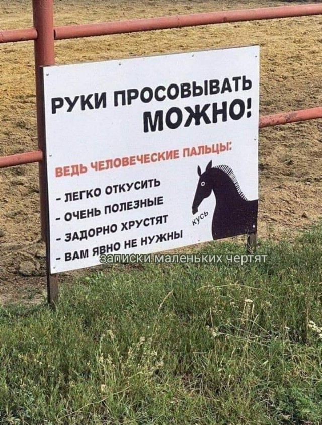 Всяческие картинки 29.11.2021
