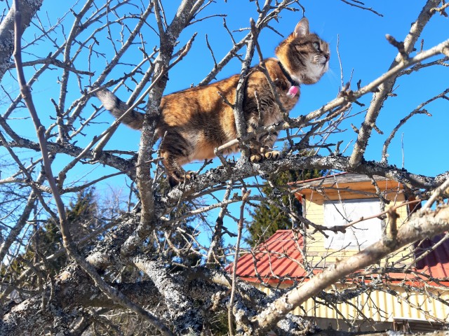 Месть, друзья и ураган