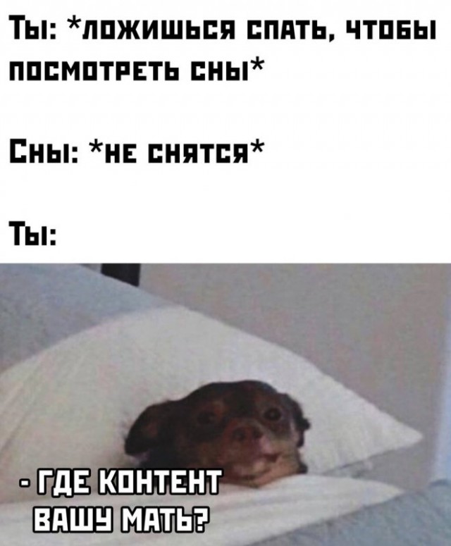 Картинки и мемы для настроения - 21
